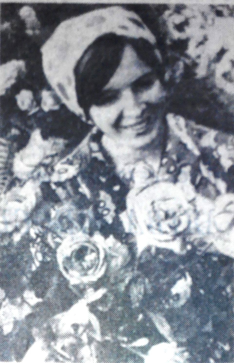     .     1973 .       
