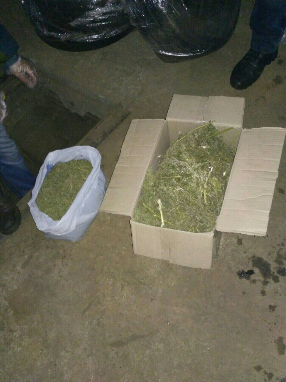  ,      ,   