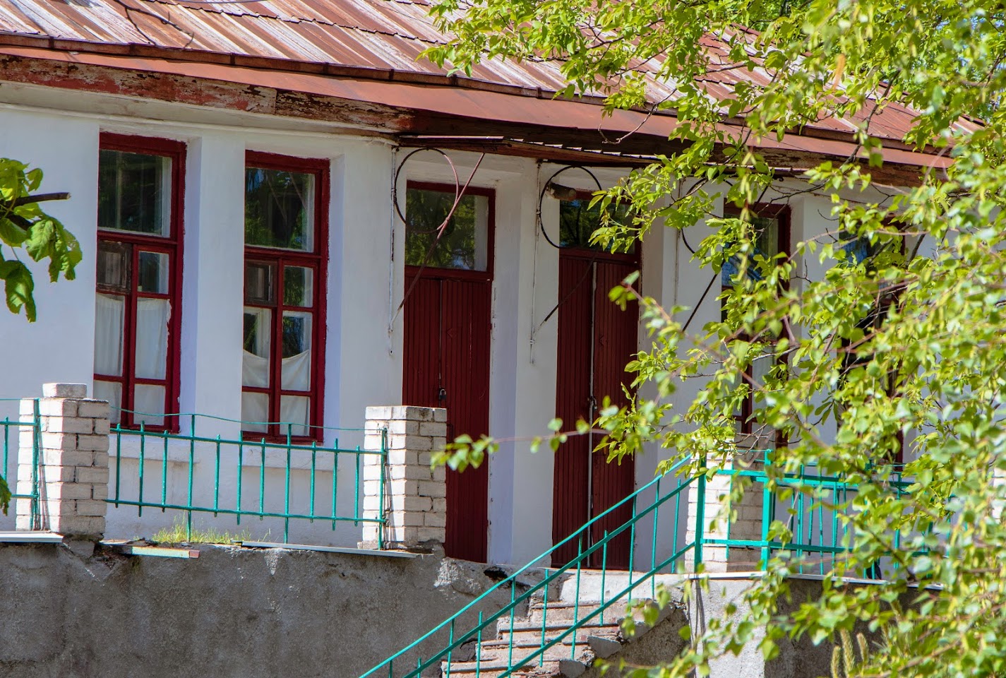    COVID-19 , -       