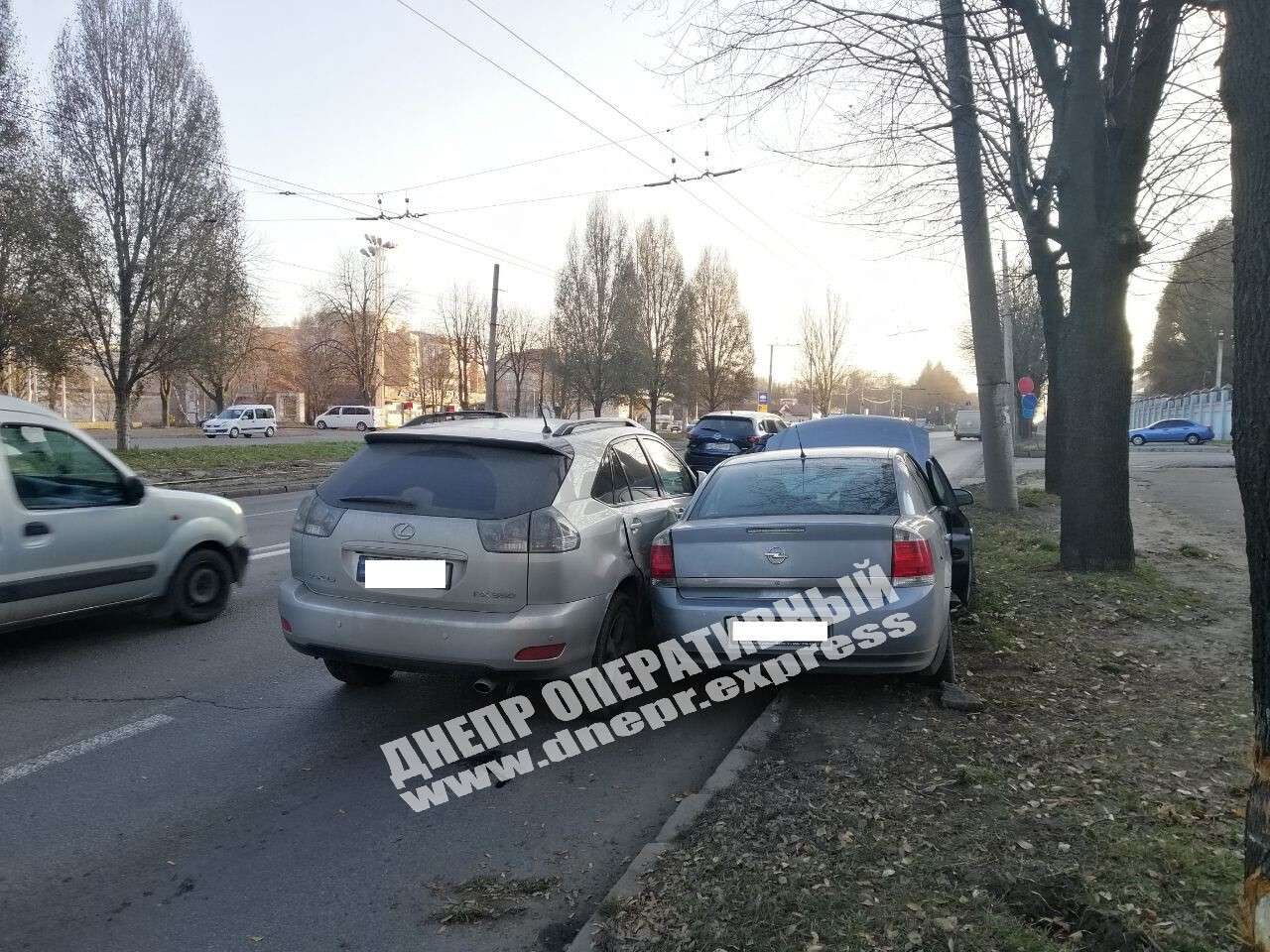       Lexus  Opel:  