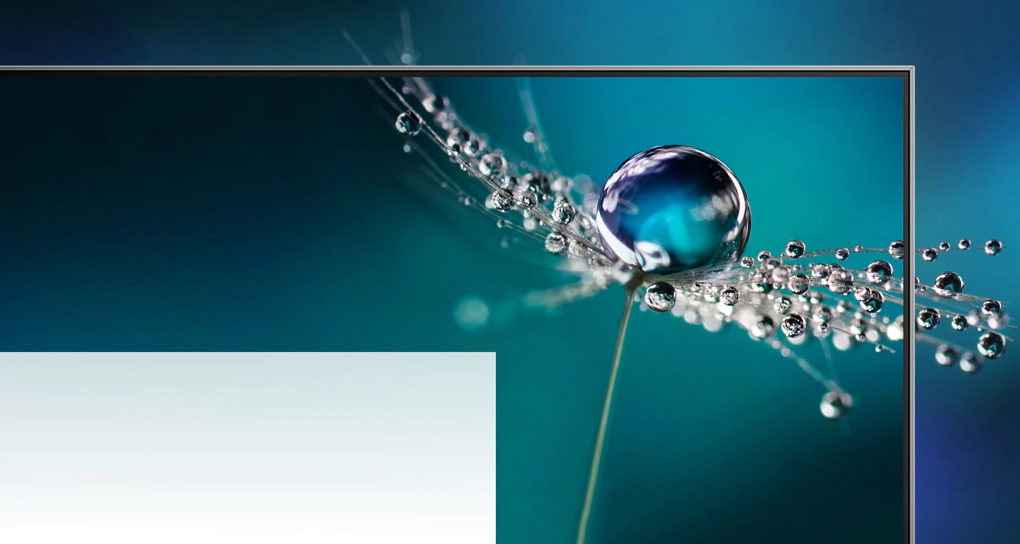  3    Samsung  2021 