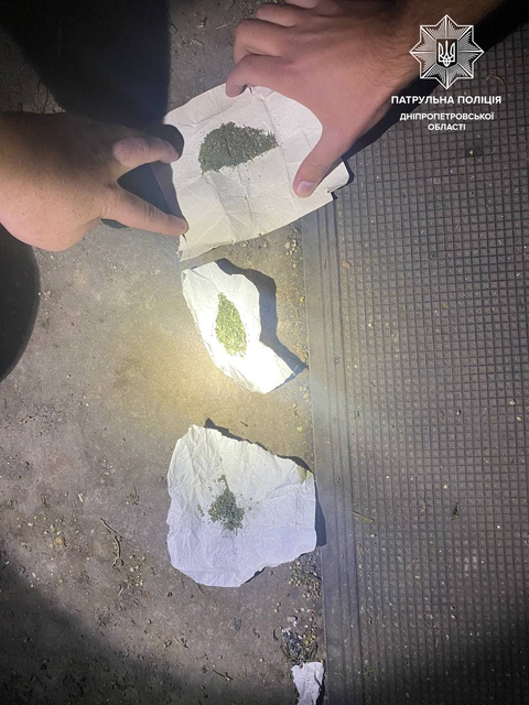 В Днепре мать вызвала патрульных, чтобы угомонить сына-наркомана