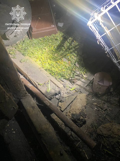 В Днепре мать вызвала патрульных, чтобы угомонить сына-наркомана