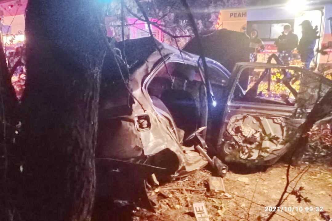    Skoda   :     ,  