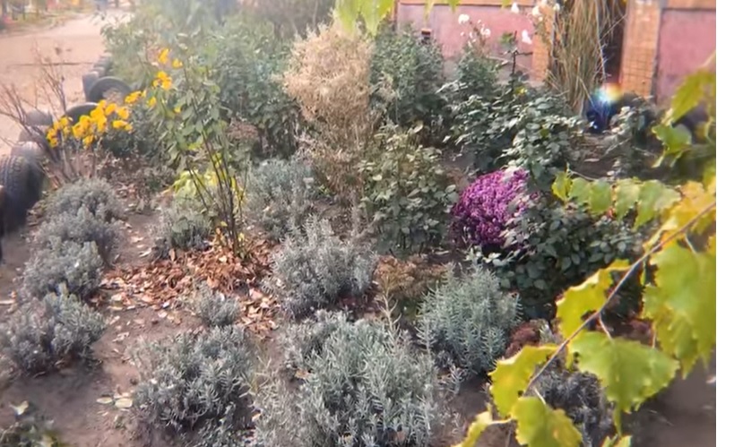  13-    