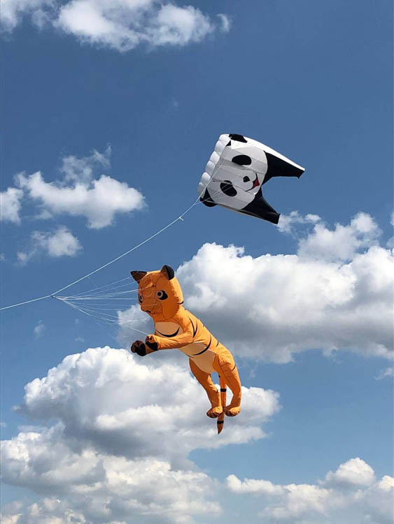          -