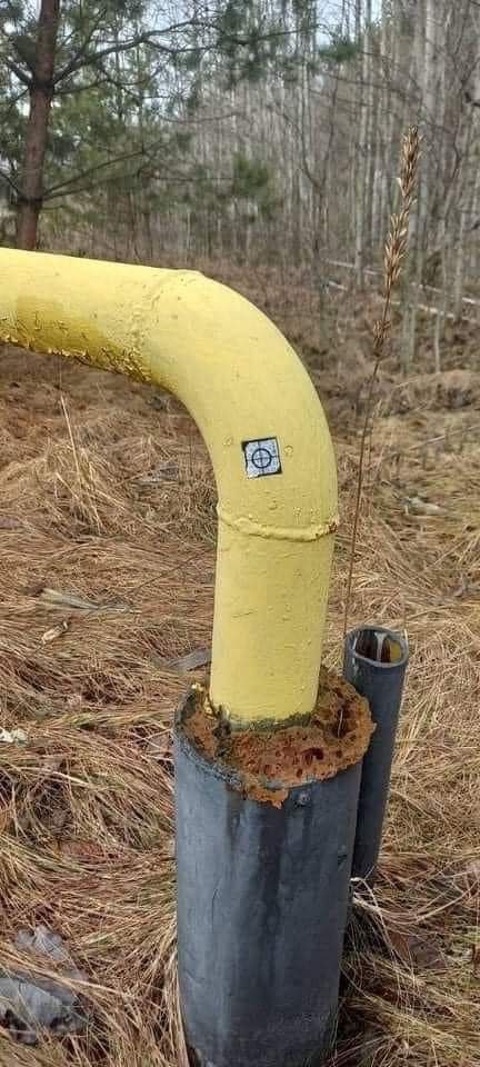          , 