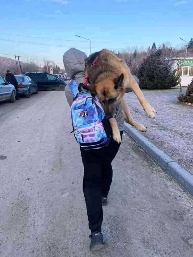     ?:      ,  
