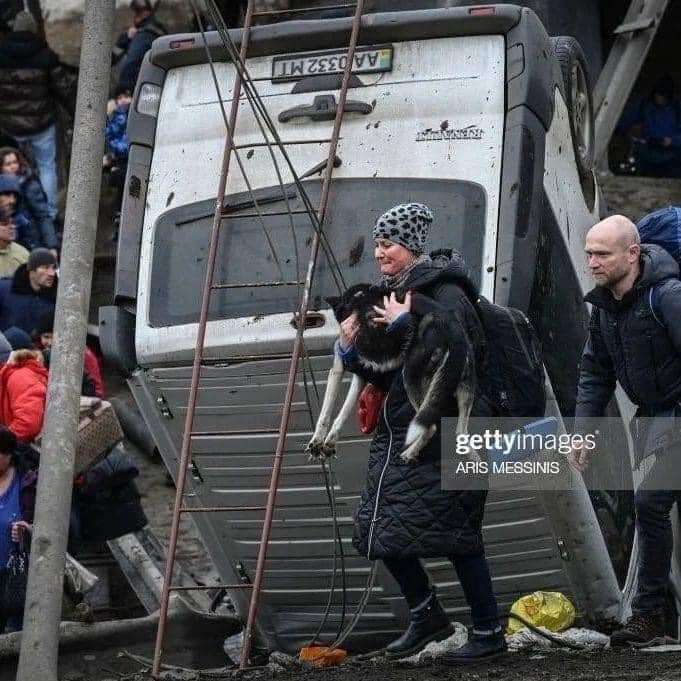     ?:      ,  