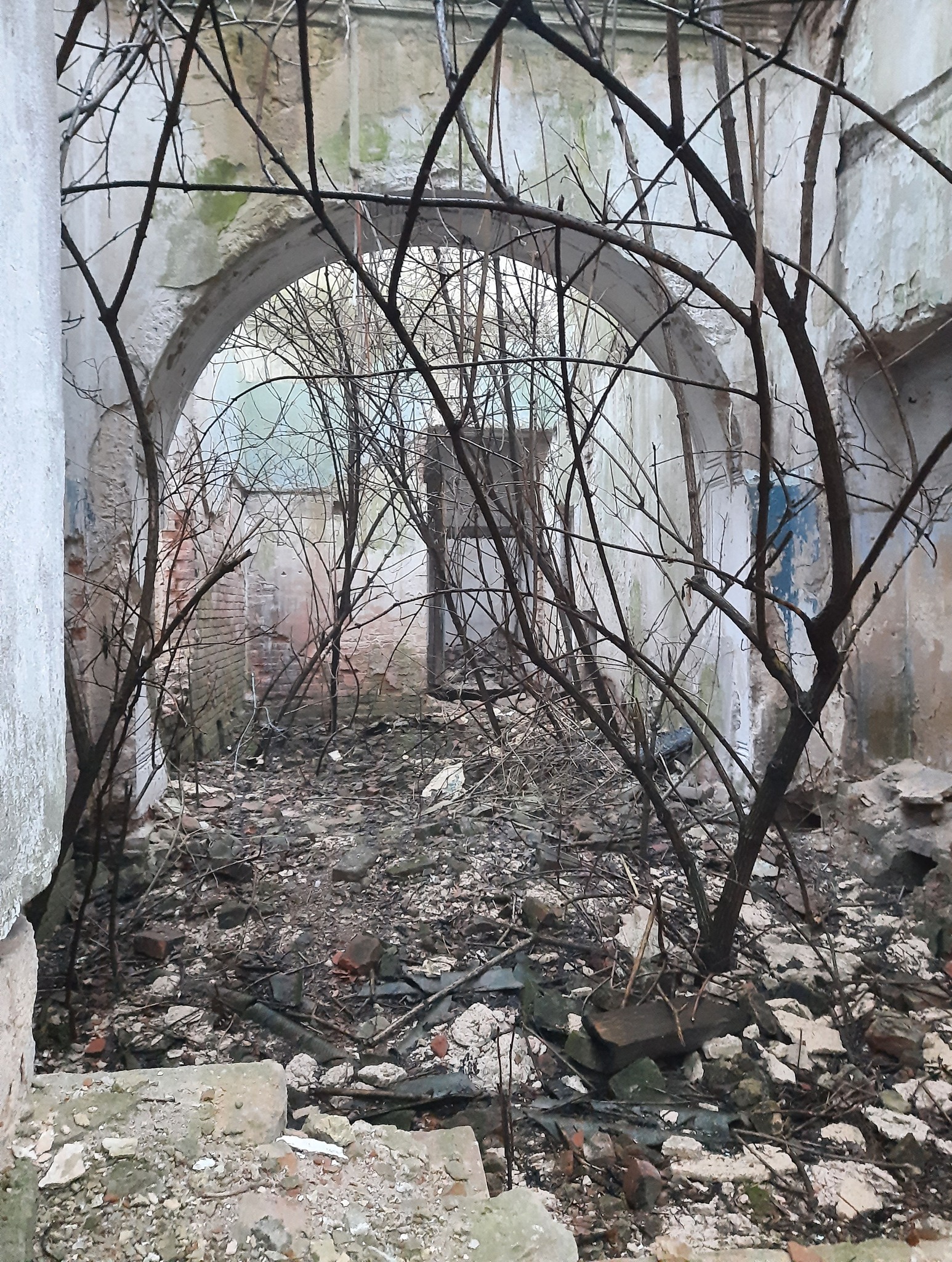 Садиба Олександра Поля – на межі повної руйнації. На Дніпропетровщині руйнуються історичні об'єкти