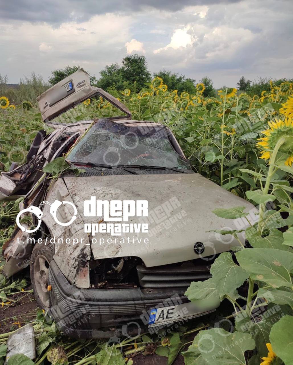     Opel    :  