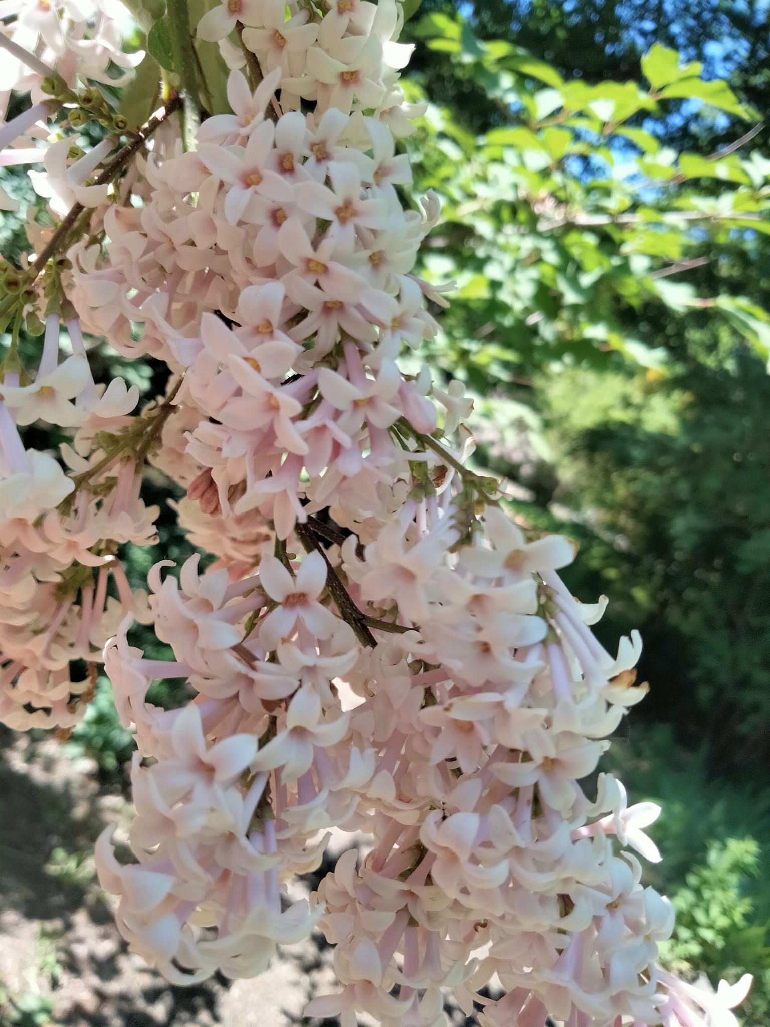      !