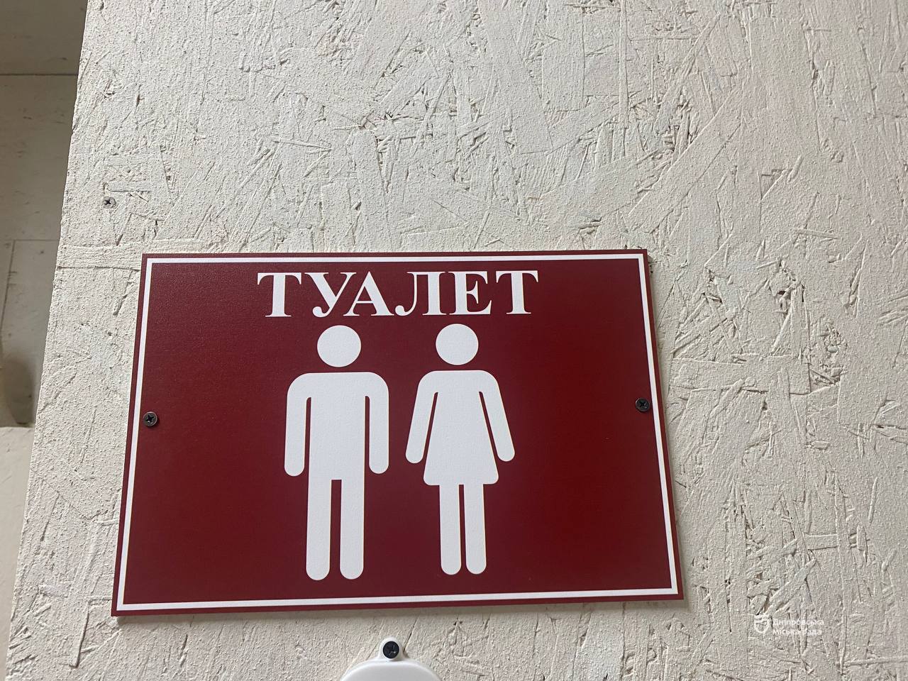   :          6   