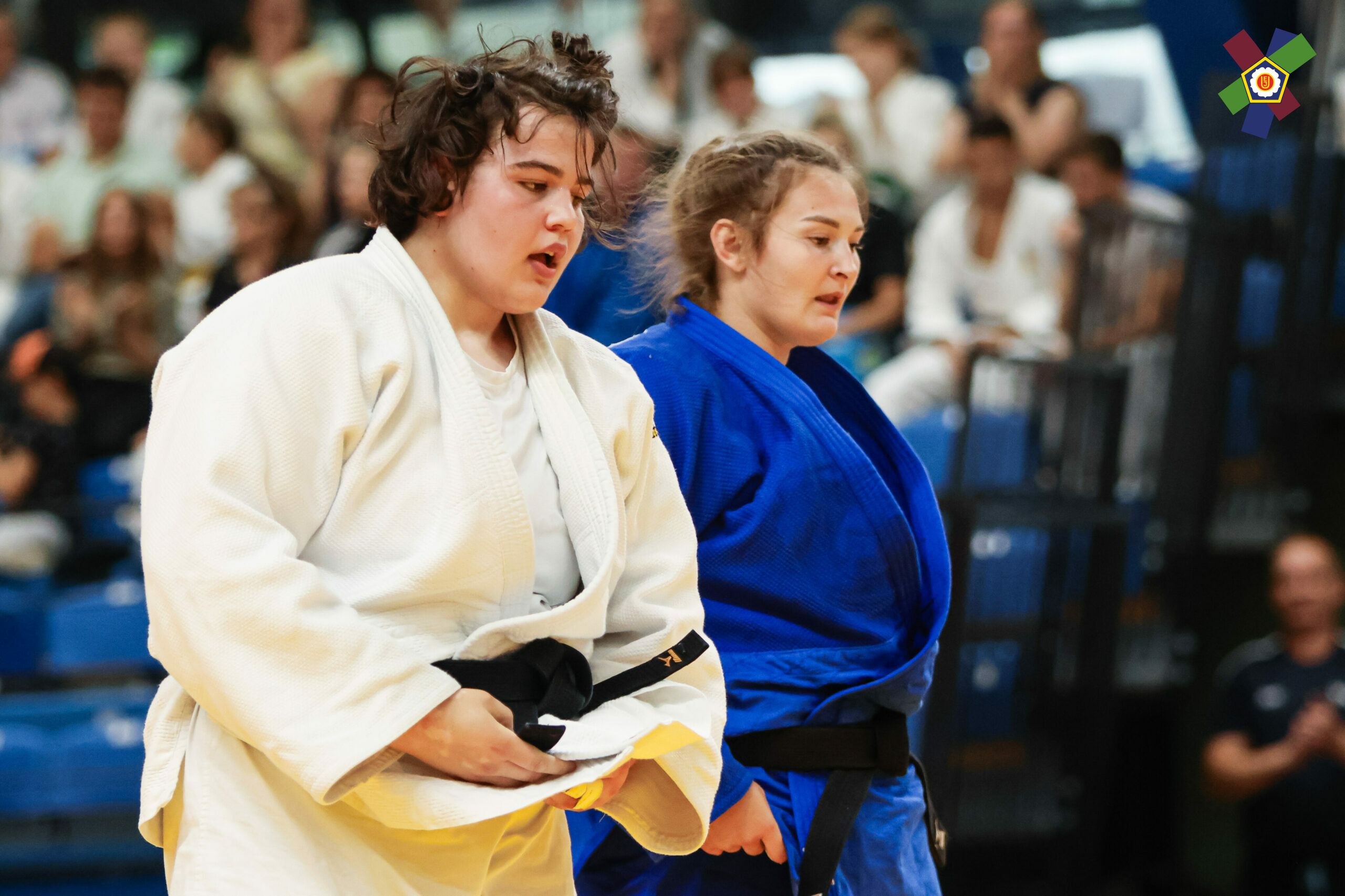       European Open  