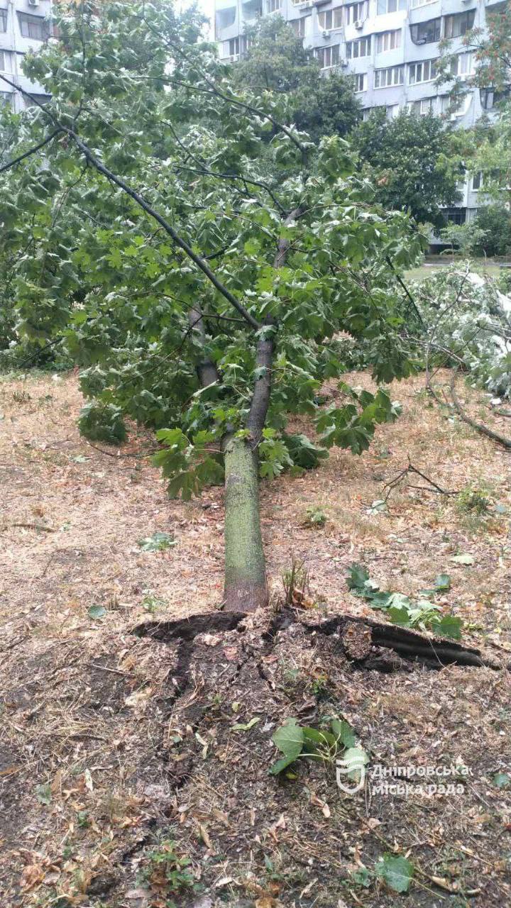  ˳      15  