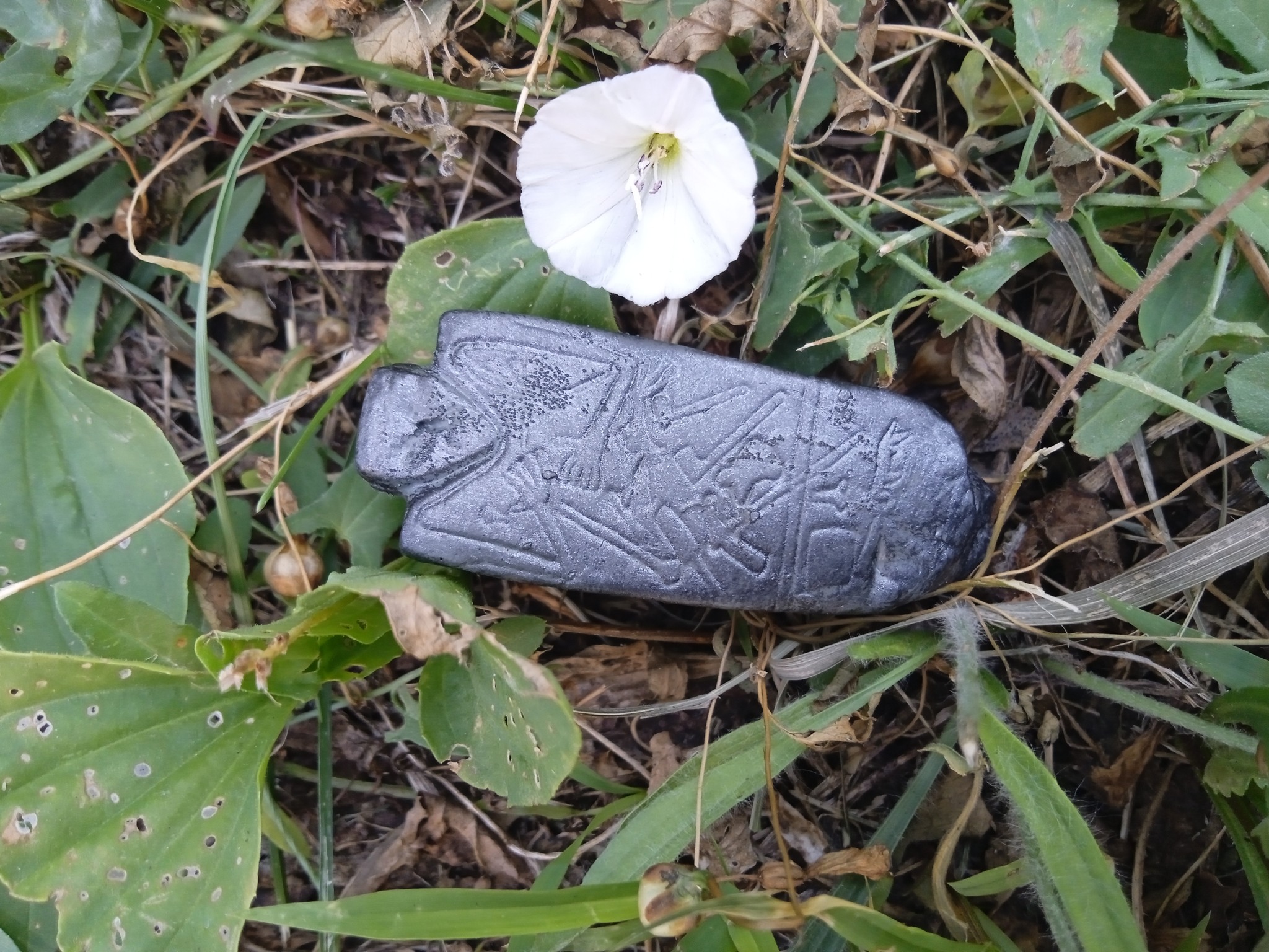       ' 