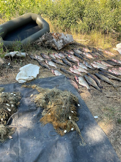        200  