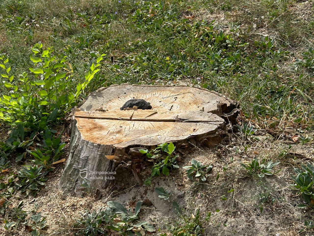         15   13 