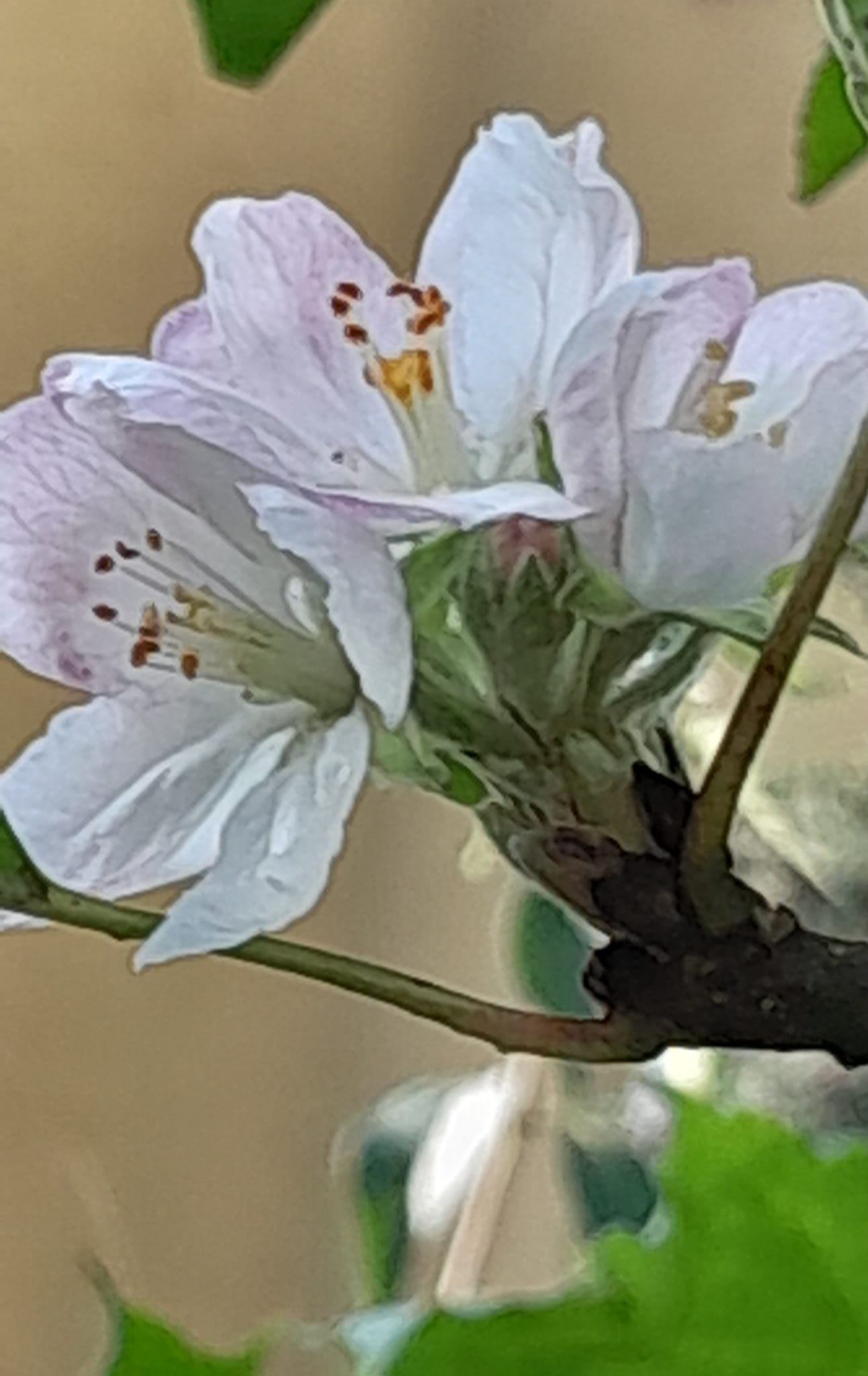      볿  