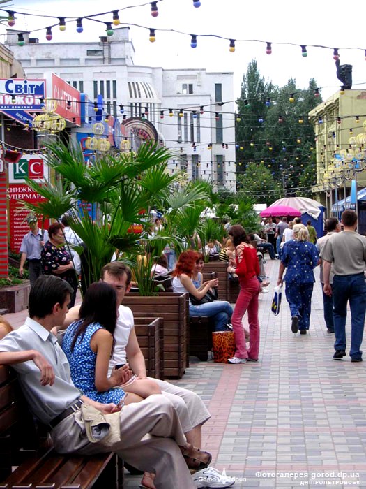    2005   :   