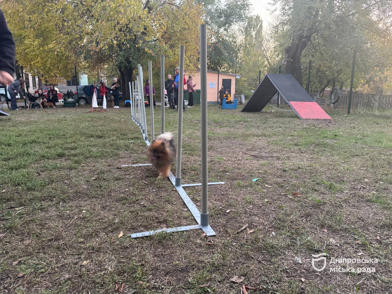  ,    :   -  