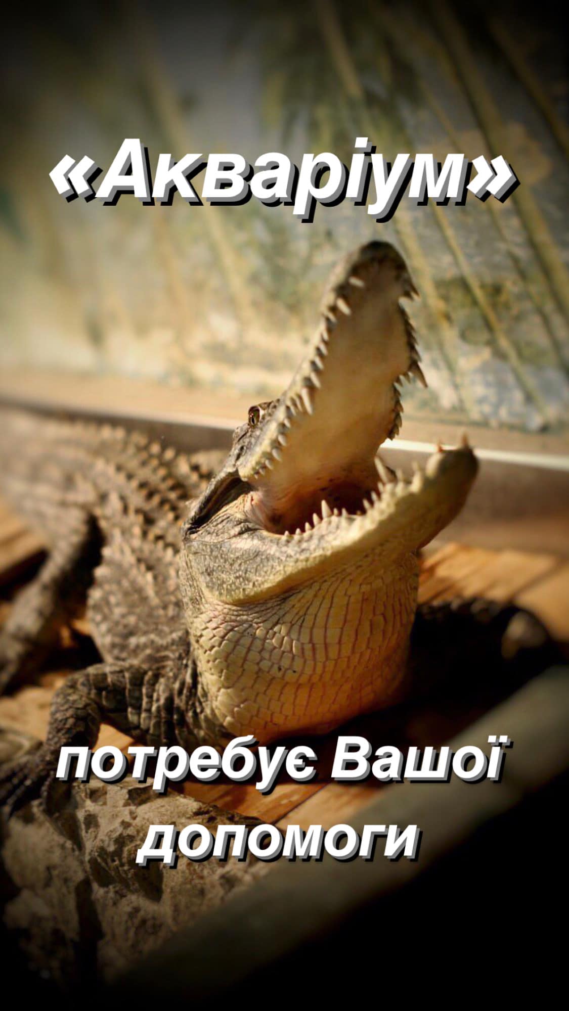     !