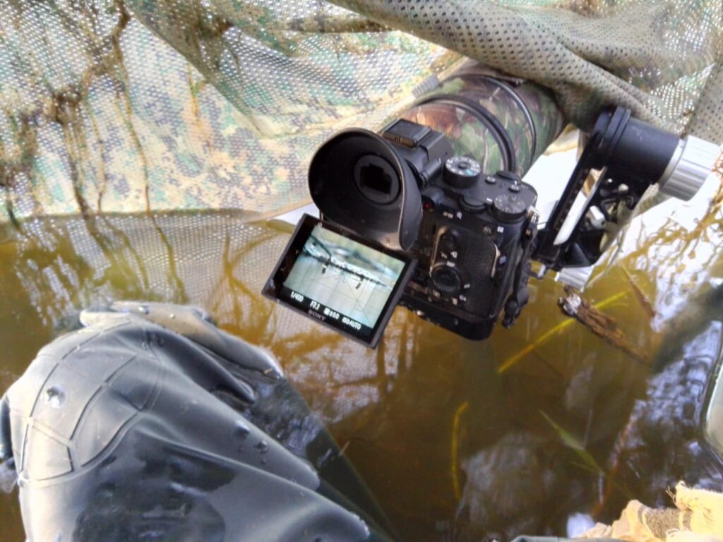  ³         