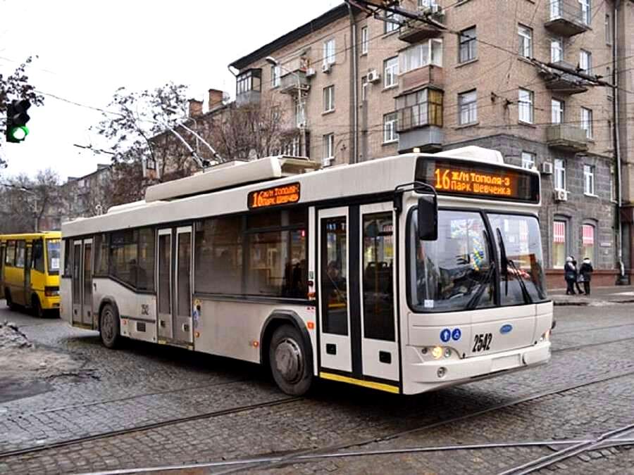  16    50            16