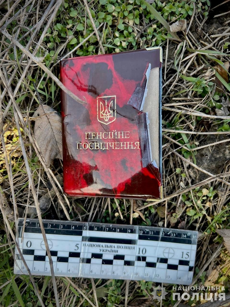     ,    71- 