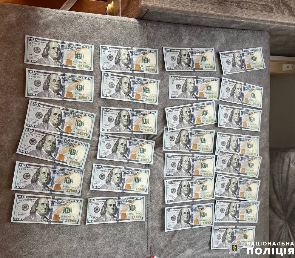     11        3  