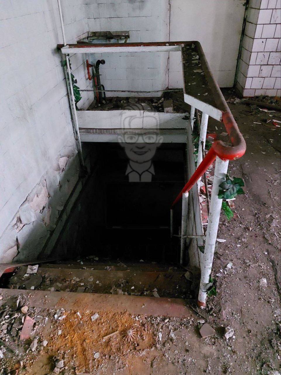     :   '  ,      ?