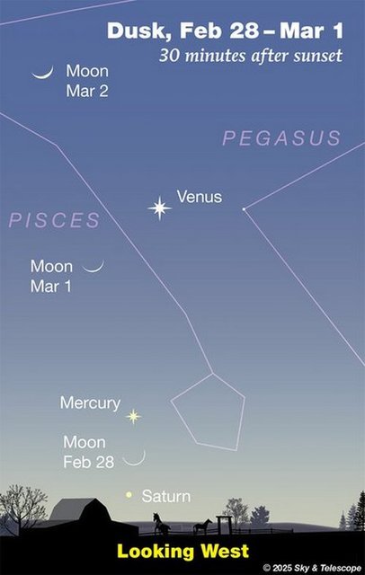 ,       . Sky & Telescope