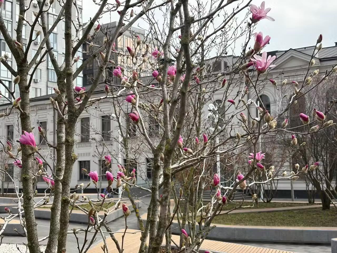      볿