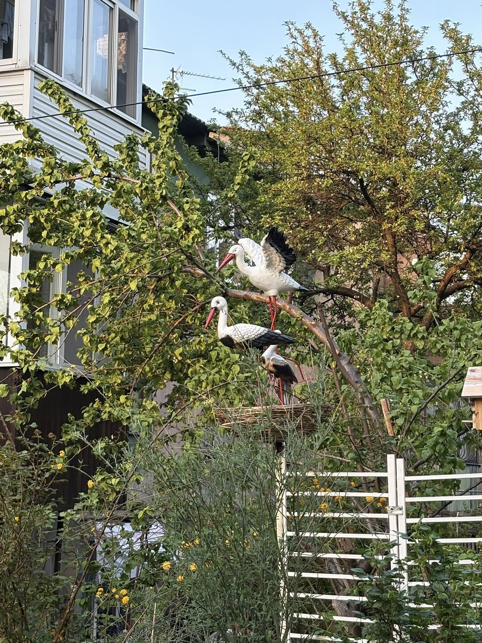    '    
