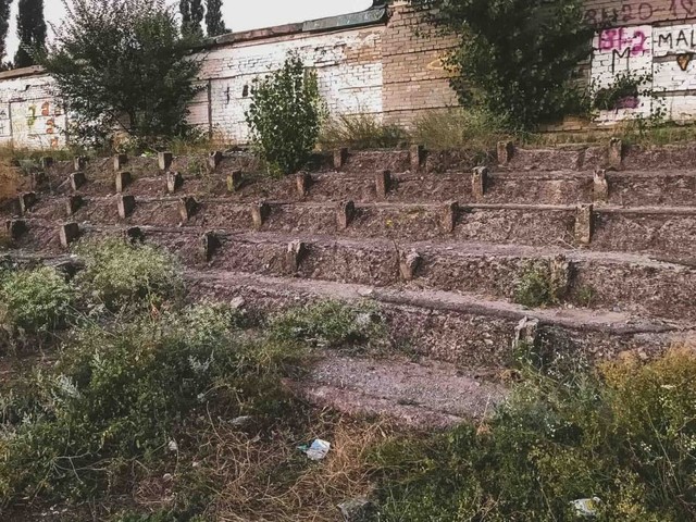           '