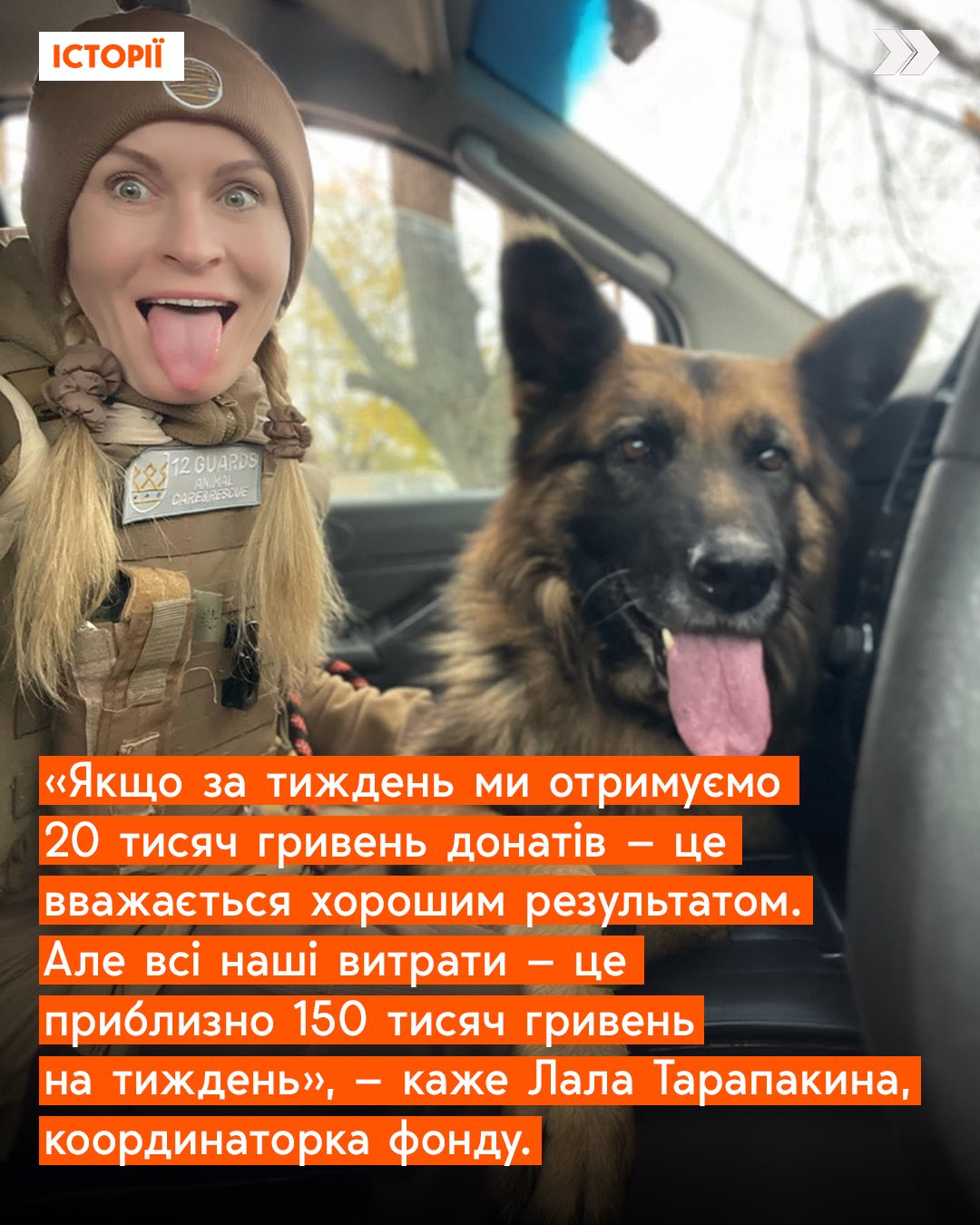      ,    