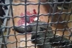 Появилось видео расстрела солдатом сослуживцев на Южмаше 