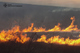 На Дніпропетровщині протягом доби ліквідовано 60 пожеж в екосистемах