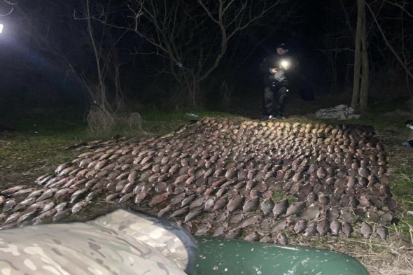 На Дніпропетровщині браконьєр виловив 200 кг риби, завдавши збитків на 1 млн  гривень