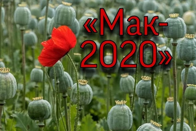      - 2020