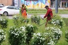 Покіс, полив та підживлення: як КП «Міськзеленбуд» піклується про газони Дніпра