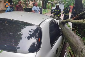 У Дніпрі надзвичайники прибрали аварійне дерево з легкового автомобіля