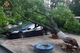 На вул.  Калиновій дерево впало на три автомобілі