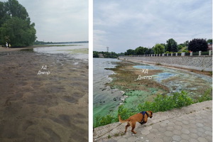 У річці Дніпро сильно впав рівень води