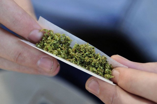 Незаконный сбыт марихуаны конопля это божья трава видео