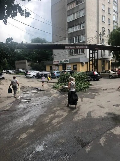 Непогода в Днепре: в городе – десятки поваленных деревьев