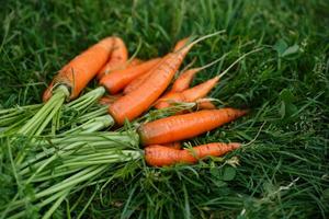 Ціни на моркву в Україні підскочили: експерти назвали причину