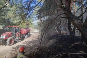 На Дніпропетровщині загасили пожежу на території лісового господарства