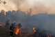 На Днепропетровщине за сутки спасатели области потушили 86 пожаров в экосистемах
