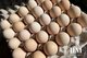 Жарти про «золоті яйця» більше не актуальні: ціни у Дніпрі на “Озерці” шокують